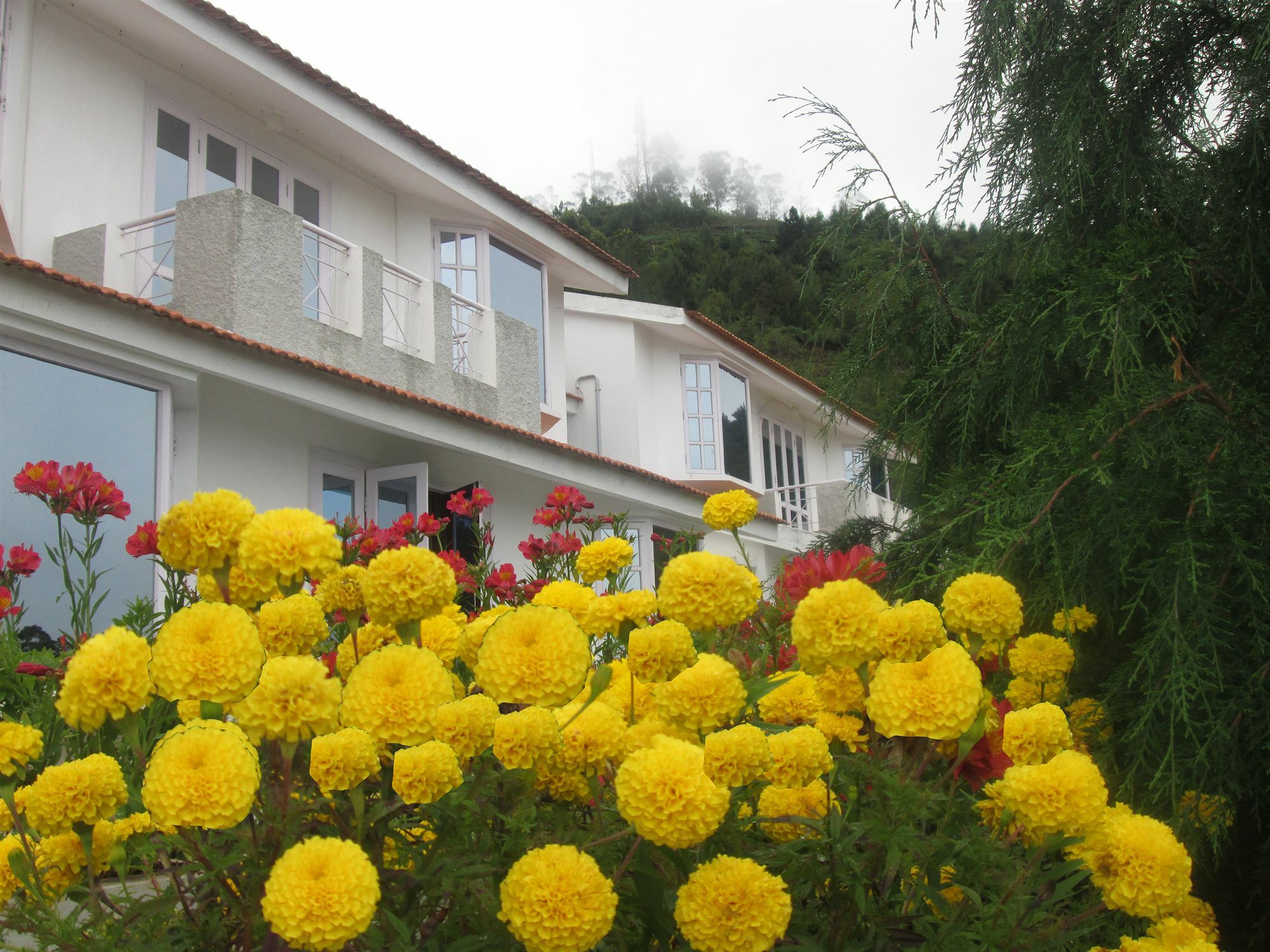 Country Club Valley Vista Kodaikanal Eksteriør bilde